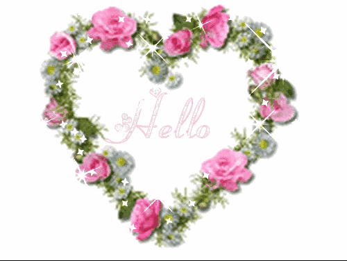 999朵玫瑰，送你999朵动态玫瑰花（999朵玫瑰邰正宵）