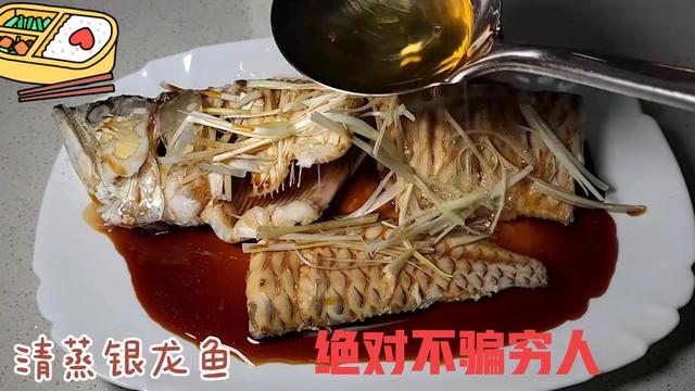 银龙鱼价格多少钱一只，龙鱼一般多少钱（可以先从饲养银龙练手）