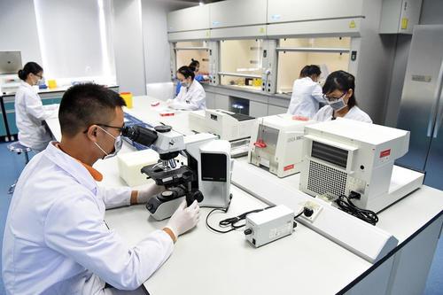 适合内向者的10种工作(25岁能学什么技能谋生)
