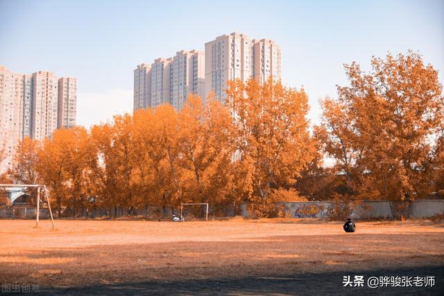 华北水利水电大学专业排名，2018华北水利水电大学优势专业排名情况（同桌进入国家电网）