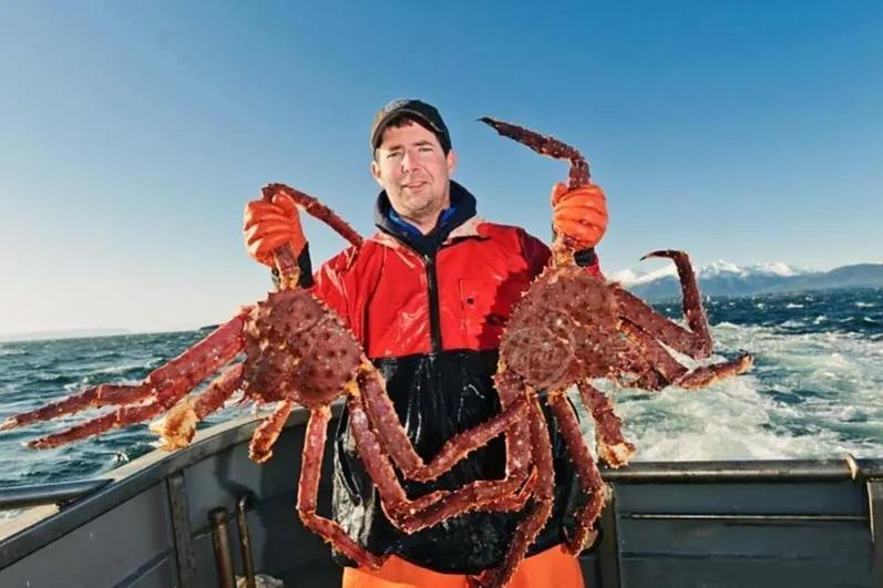 帝王蟹是如何"入侵"挪威海域的?