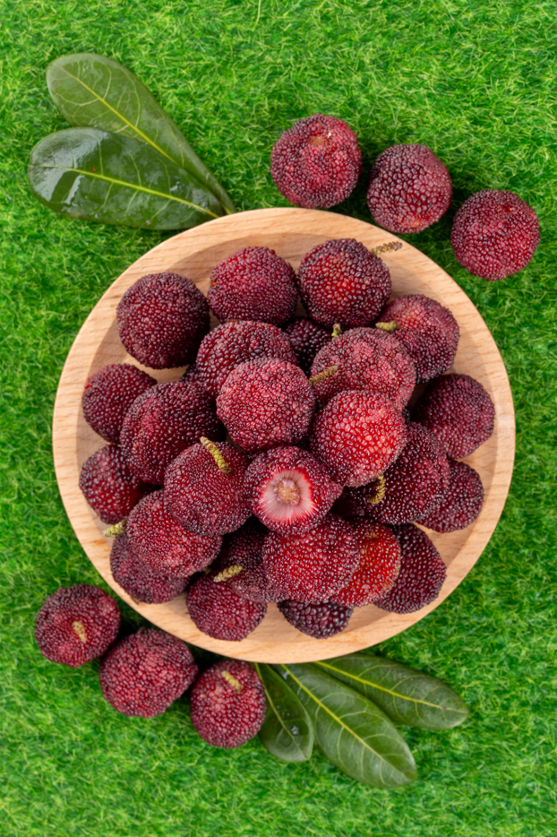 哪里的杨梅最有名最好吃,哪里的杨梅最出名(哪里的杨梅最出名最好吃)