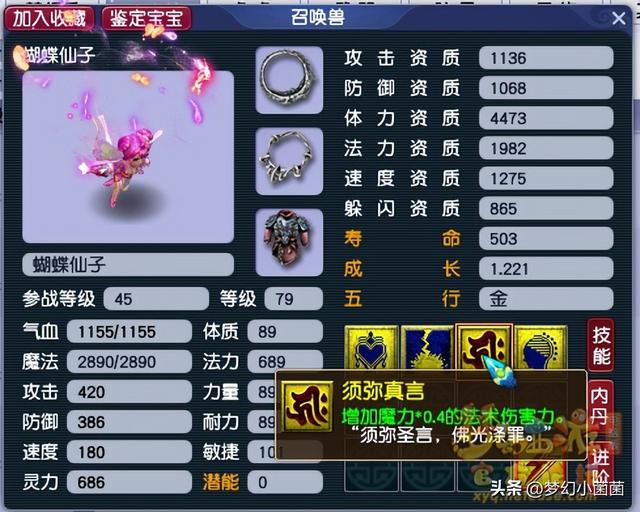 梦幻西游新手专区，梦幻西游全部新手攻略（梦幻西游全方位指引新手入门攻略）