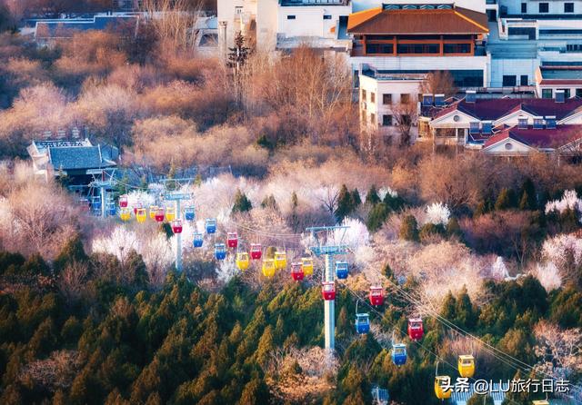 厦门东部最好的小泉城，<内含攻略>厦门11家国有A级景区免门票