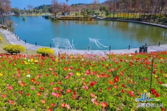 珠海好玩吗，珠海游玩攻略（珠海这50个免费景点合集）