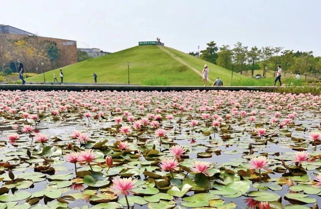 厦门十大家庭游好去处是什么，厦门家庭游攻略（10座公园让大人和小孩都可以愉快地玩耍）