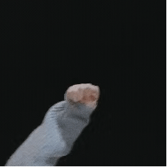 斗图专用，斗图专用表情包熊猫头（表情包，斗图专用表情）