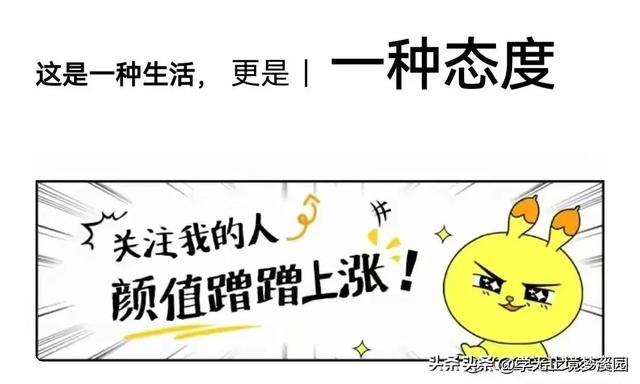 浏览器记住的密码怎么查看，浏览器记住密码（你真的应该让你的浏览器保存你的密码吗）