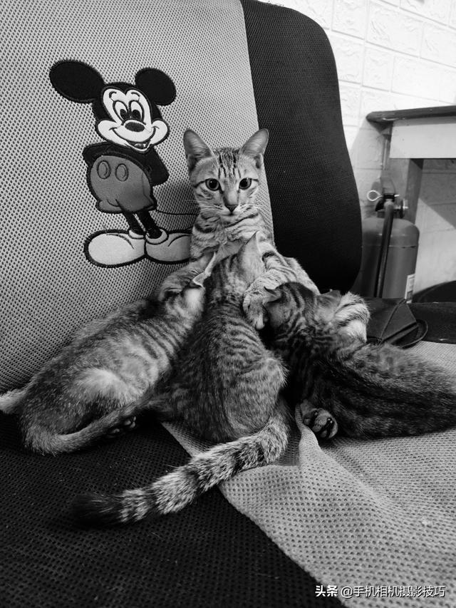 光影线条 唯美背景图，光影线条怎么拍（18张普通人拍出来的好照片）