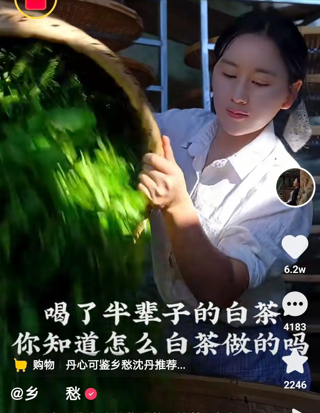 快手10万粉丝月收入(快手10万粉丝能挣钱吗)