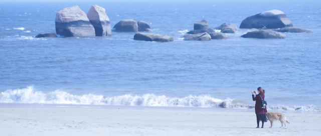 厦门旅游必去景点，厦门旅游必去十大景点攻略（厦门必打卡10大景点推荐）