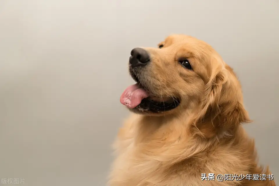 你听过100句醍醐灌顶的话是什么？