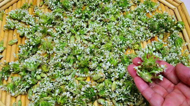 韭菜花酱怎么吃，韭菜花酱怎么做好吃（碰到韭花别错过）