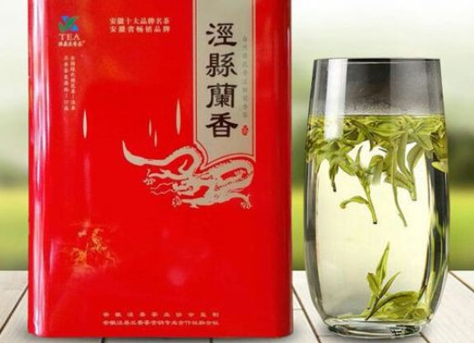 什么茶叶好喝，什么茶叶好喝又香又甜（这5地茶榜上有名）