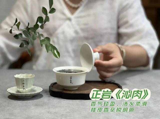 武夷岩茶之马头岩九龙窠肉桂，武夷岩茶入门
