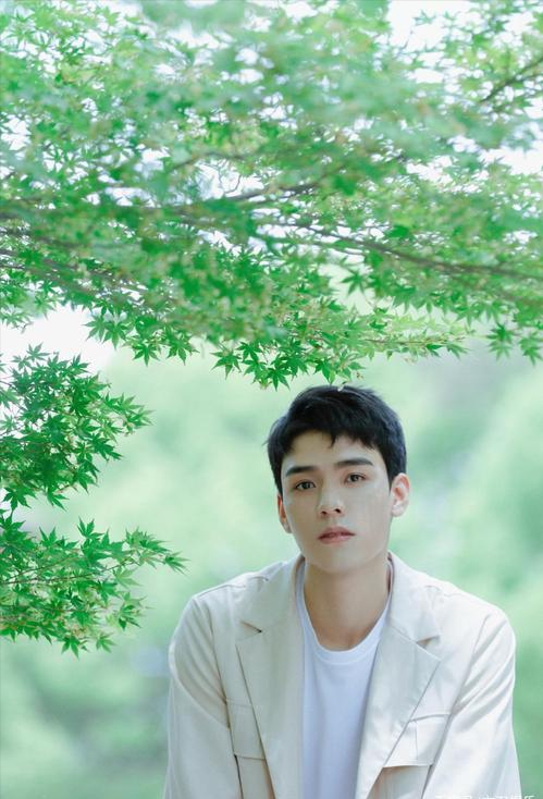 山河令演员表介绍，山河令演员表（这对浓颜系CP太让人期待）