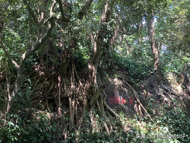 韶关丹霞山旅游攻略，韶关丹霞山旅游攻略 丹霞山好玩吗（黄飞鸿的故乡西樵山一日游游玩攻略）