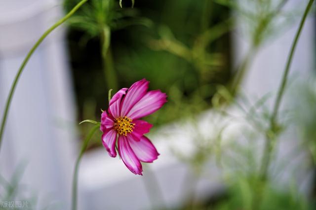 个性哲理说说，个性哲理说说短句（关于人生的哲理句子）