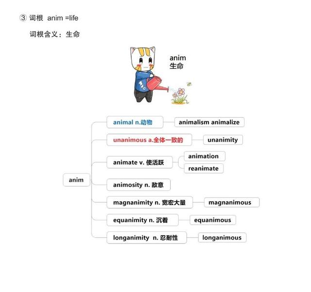 annals，ann的所有格可以是Ann（背单词——漫画词汇<十>）