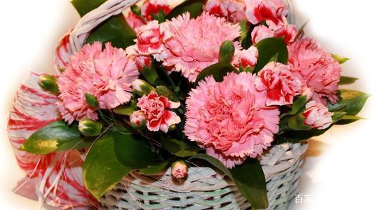 康乃馨不同颜色都代表什么，康乃馨不同颜色都代表什么寓意（那些需要知道的花事）