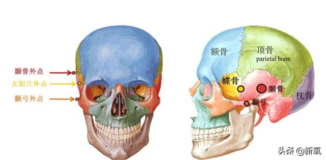 声恋的演员介绍，恋歌演员介绍（光靠颜值就在国内出圈的日系美少女）