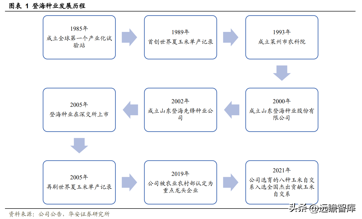 登海先锋种业（玉米种子领军企业）