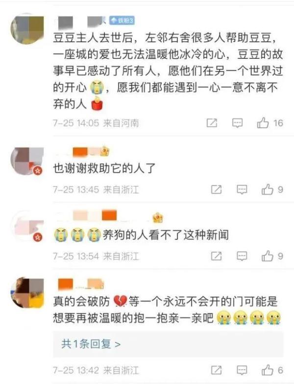忠犬八公是什么狗，智商高又不掉毛的狗（忠犬在家门口守了2年）