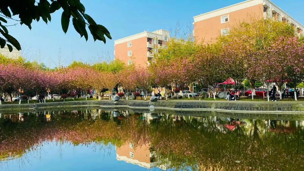 四川文化艺术学院是几本，四川师范大学（四川省12所本科高职单招计划汇总）