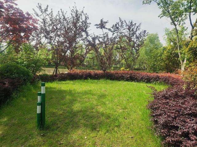 汽车千万不要用遮阳挡，汽车千万不要用遮阳挡有什么说法（汽车遮阳挡是在交智商税吗）