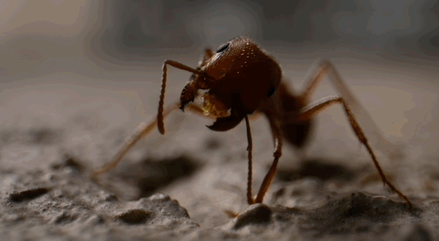 台剧那一天结局，台剧那一天剧情介绍（撕开资本家丑恶嘴脸）