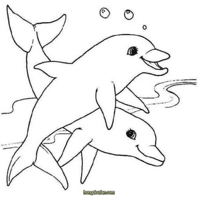怎样简笔画海豚图片
