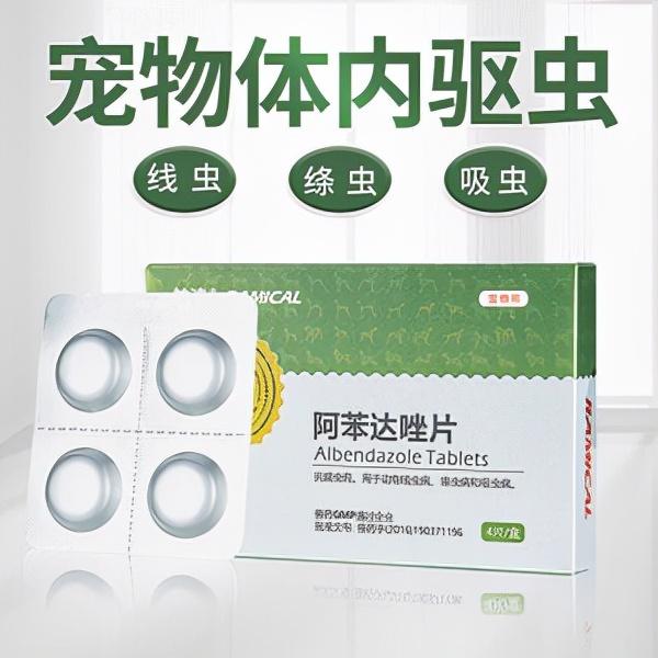 拜宠清，让你比宠物医生更专业（拜宠清和福来恩哪个好）