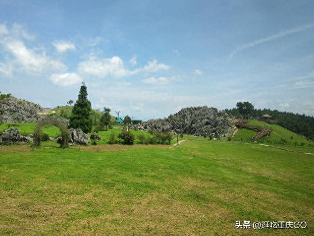 重庆最美草地——石柱千野草场，到底有多美？