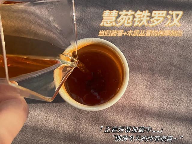 铁罗汉是什么茶，铁罗汉茶属于什么茶（不识慧苑老丛铁罗汉）