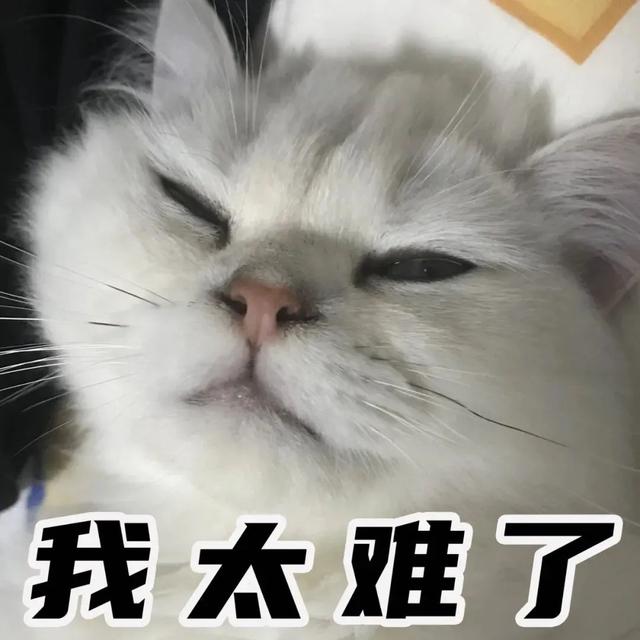 上妆前的步骤有哪些，妆前是什么步骤（新手必看的保姆级化妆教程）