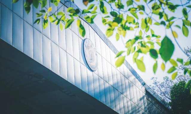 西南石油大学专业，西南石油大学有哪些专业（这些专业收入高、满意度高）