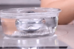 小电磁炉价格，小型电磁炉简介（几十块钱跟几百块钱的电磁炉区别在哪里）