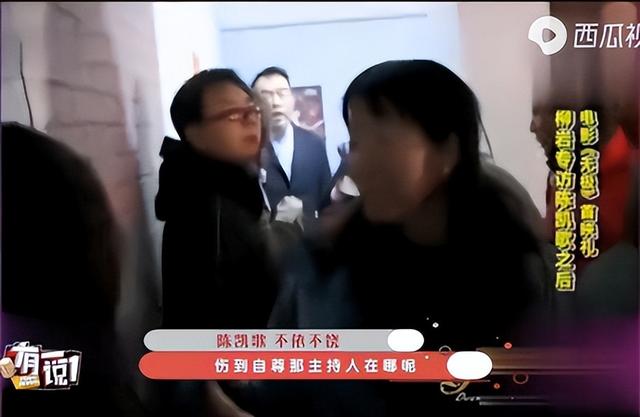 倪萍为什么遭陈凯歌抛弃，\