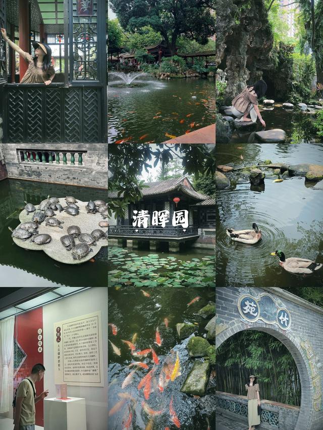 顺德两天两夜攻略（超详细）