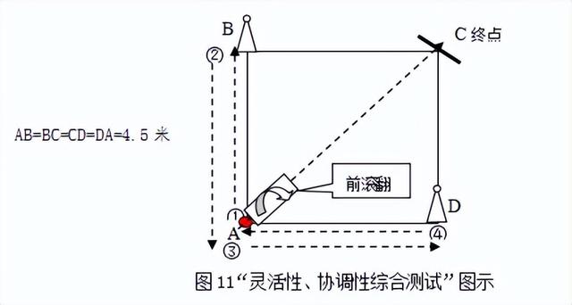 体育特长情况怎么填，体育特长情况怎么填写（厦门市直属校普高体育艺术特长测试时间、内容定了→）