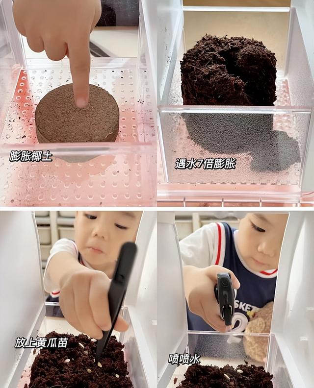 国内玩具内卷严重，这几款儿童玩具吸引力太强，老父亲都想抢着玩