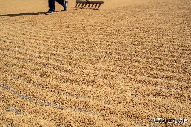 六月初六是什么节日，六月初六是什么节日是崔判官（六月六话节俗）