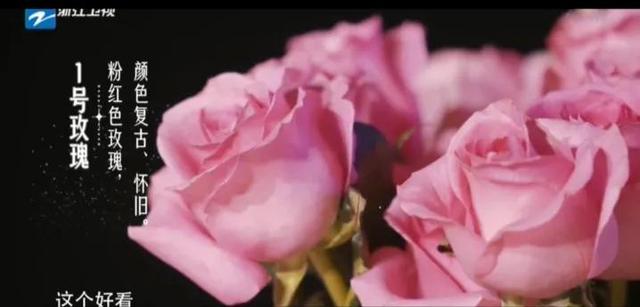 19支玫瑰是什么意思，19支玫瑰代表什么（19朵玫瑰花表示什么）