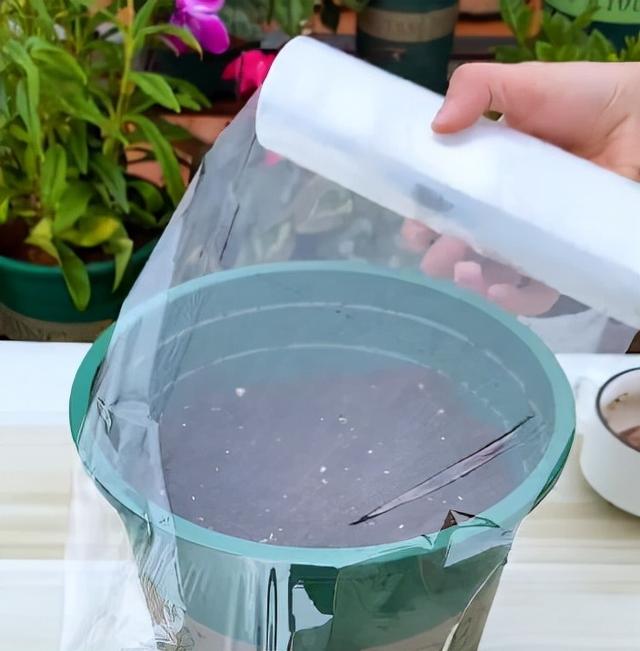 葫芦几月份种最好，文玩葫芦几月份种植（家庭如何种植手捻葫芦）