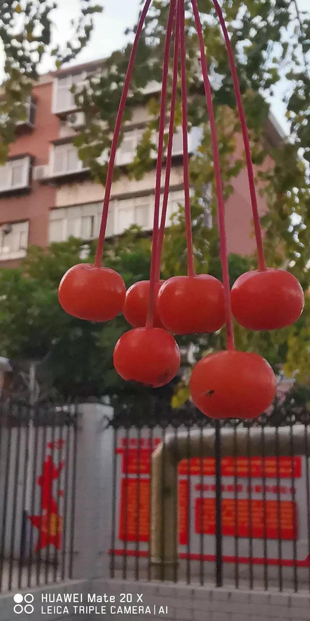 灵魂相似的人一旦相逢，灵魂相似的人一旦相逢是知心朋友（总有一天会在路上相逢）