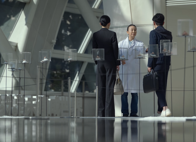 代旭年龄身高，代旭个人资料多大年龄（《玫瑰之战》演员的身高）