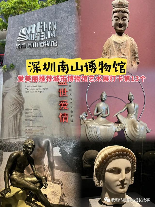 爱美丽推荐深圳博物馆艺术展第14个 - 深圳南山博物馆游玩指南攻略!