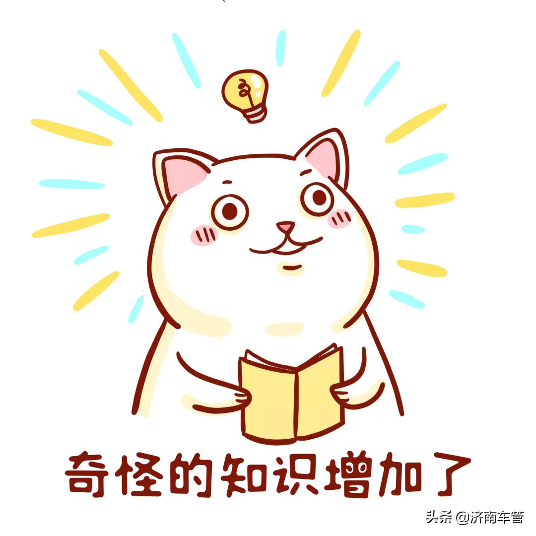 发动机号码(发动机号码可以查到什么信息)
