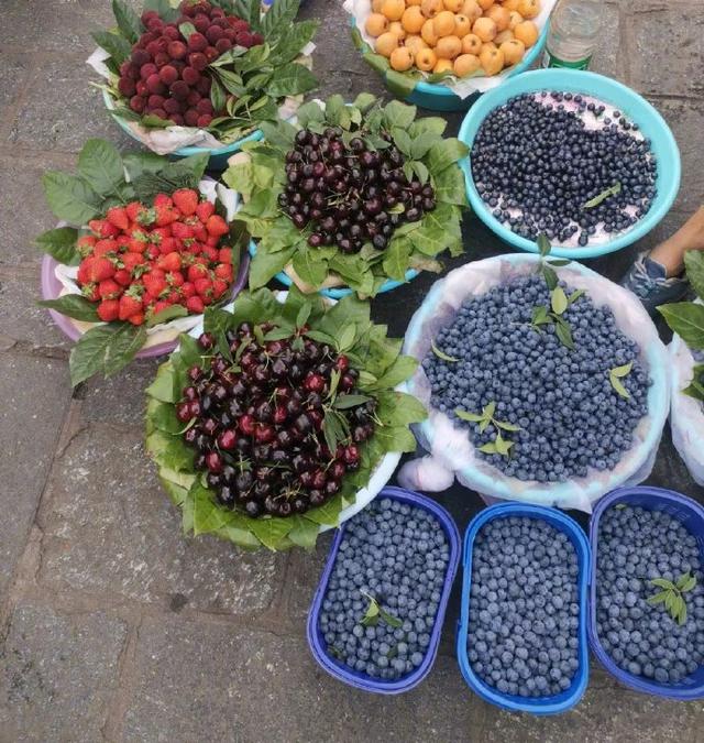 新鲜蓝莓一般多少钱一斤，蓝莓价格多少钱一斤（一种“神秘”的水果）