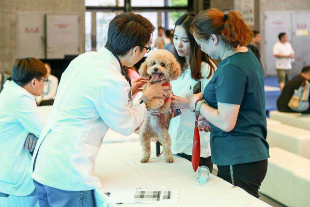 杭州工作好找吗，请问杭州工作好找吗（大学生们的就业面又宽了）